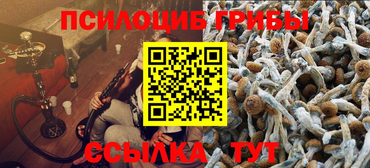 Галлюциногенные грибы Psilocybine cubensis  Вход с VPN  Галлюциногенные грибы Psilocybe  Кандалакша 